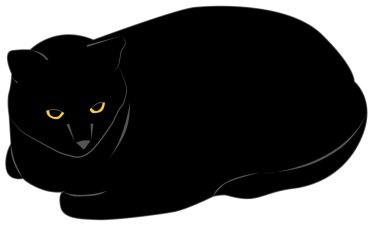 siyah kedi