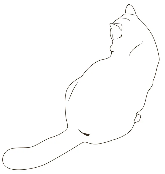 Chat blanc — Image vectorielle