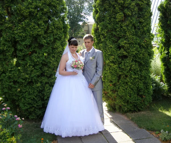 Bride and groom — Stock Photo, Image