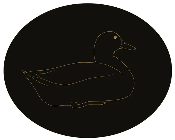 El contorno del pato — Vector de stock