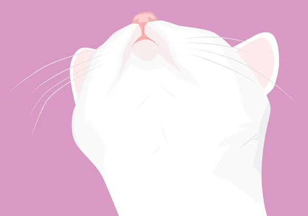 Muzzle white cat — Stock Vector