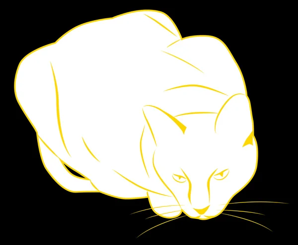 Gato blanco — Vector de stock