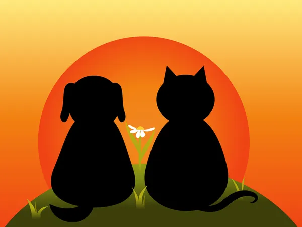 Kedi ve köpek.
