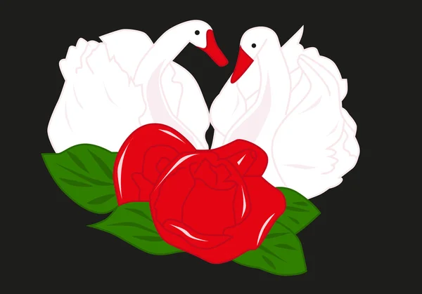 Swans and rose — Stock Vector