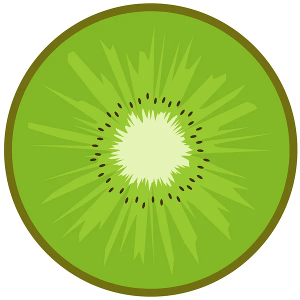 Owoce kiwi — Wektor stockowy