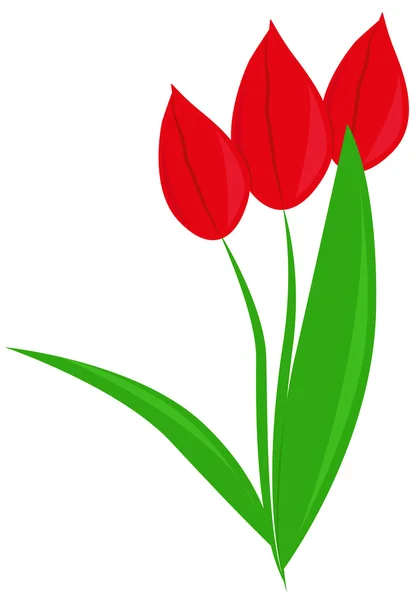 Rote Tulpen — Stockvektor