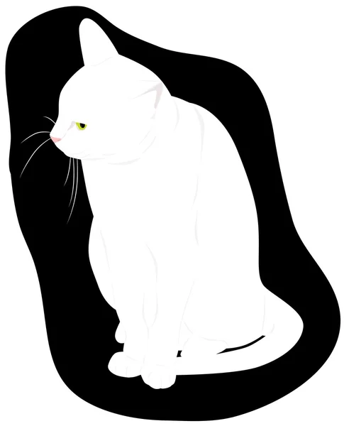 Witte kat — Stockvector