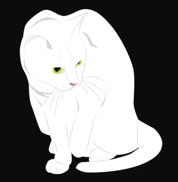 Witte kat — Stockvector