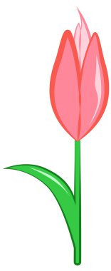 Pembe Lale