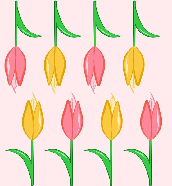 Fundo com tulipas — Vetor de Stock