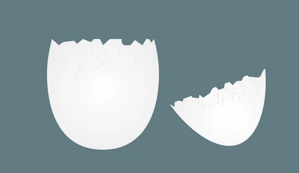 蛋壳 — 图库矢量图片