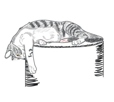 Şirin tekir kedi bir kaideye uzanıyor ve ilgiyle aşağı bakıyor. Vektör illüstrasyonu
