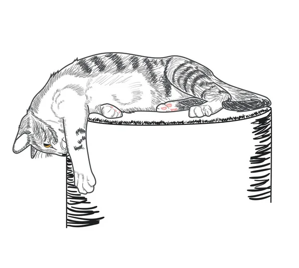 Lindo Gato Tabby Encuentra Pedestal Mira Hacia Abajo Con Interés — Archivo Imágenes Vectoriales