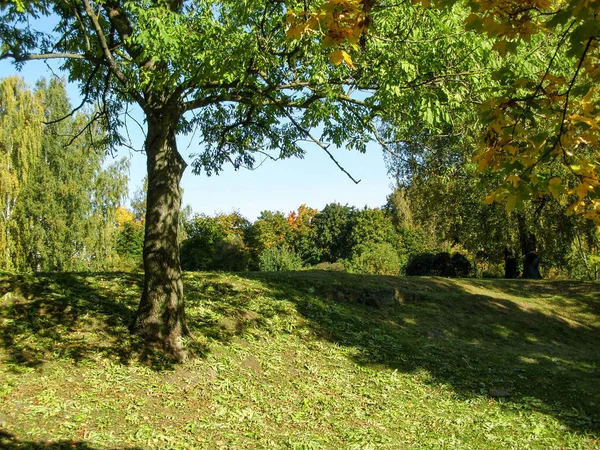 Όμορφο Τοπίο Αρχές Φθινοπώρου Διάφορα Δέντρα Και Πράσινο Γκαζόν — Φωτογραφία Αρχείου