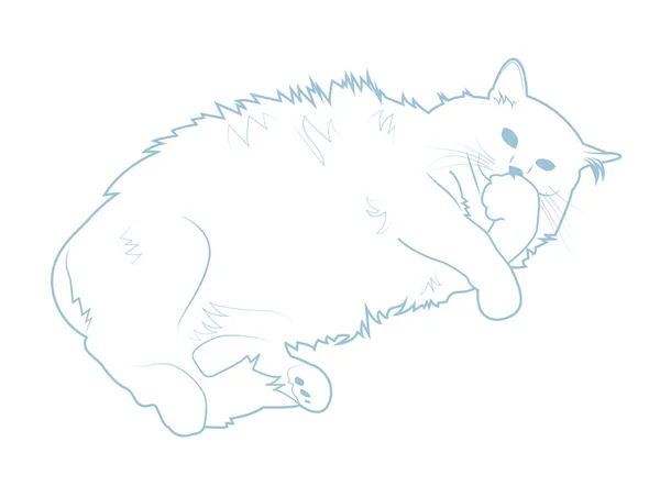 Duży Tłusty Puszysty Kot Ilustracja Wektora — Wektor stockowy