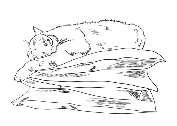 Kedi Yastıkların Üzerinde Uyur Çizim Vektör Illüstrasyonu — Stok Vektör