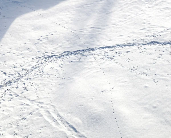 Tracks in the snow — Stock Photo, Image