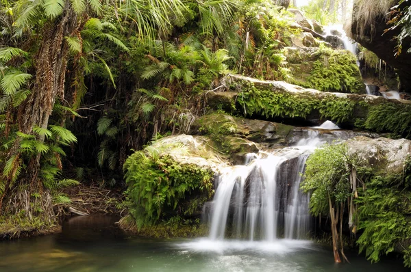 Una cascata — Foto Stock