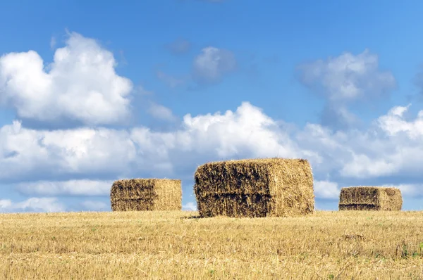 Heuhaufen — Stockfoto