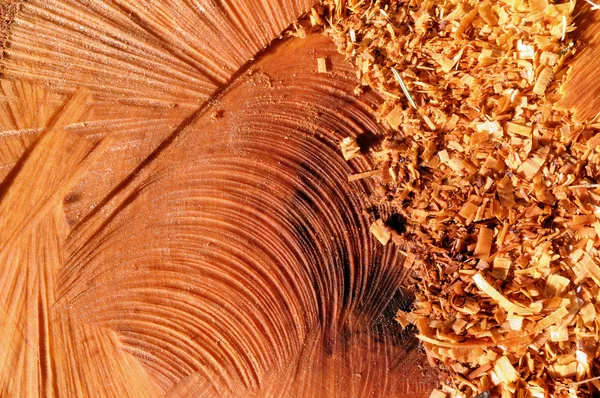 Serradura em madeira — Fotografia de Stock