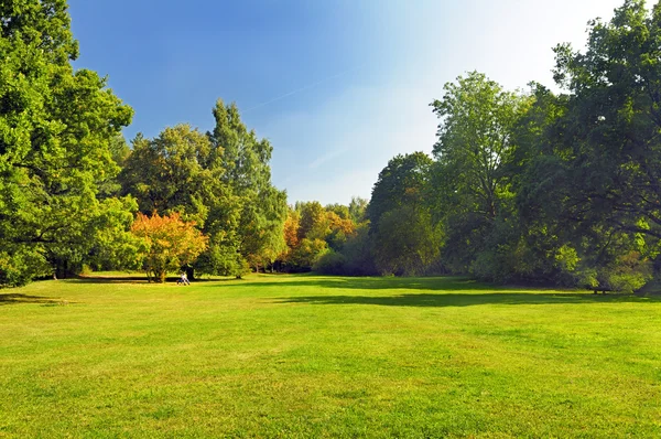 Podzimní park — Stock fotografie