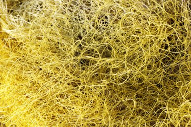 Balık net arka plan