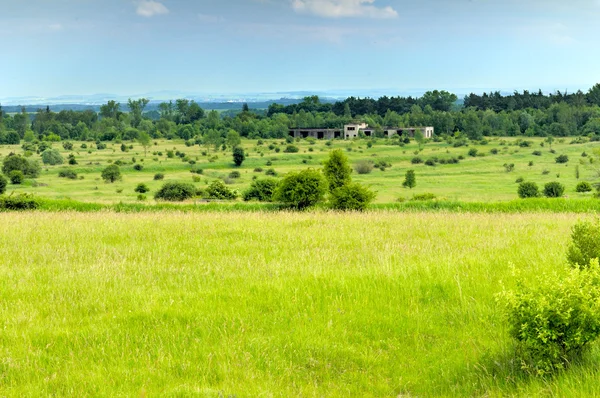 Landscape of forest-steppe — Stock Photo, Image