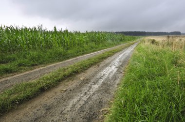 kırsal yol