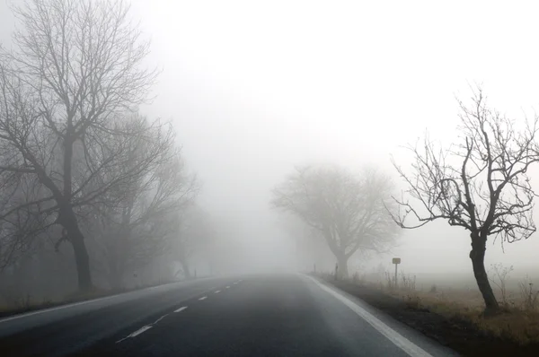 sonbahar yol