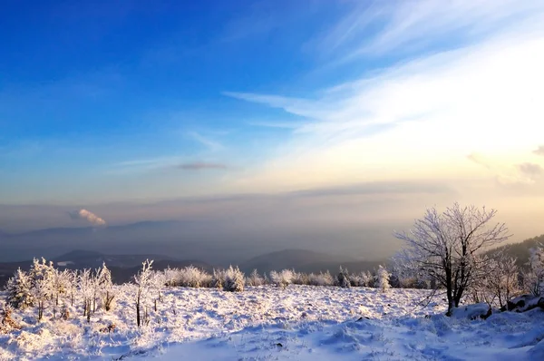 Zimowy krajobraz i zachód słońca — Zdjęcie stockowe