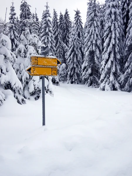 Дорожный знак, покрытый снегом — стоковое фото