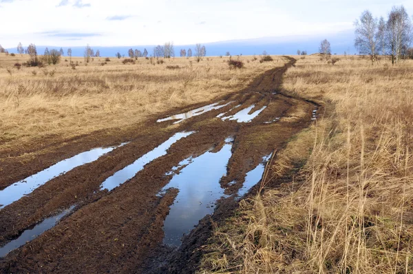 Modder en over de weg — Stockfoto