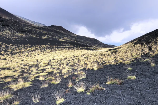 Трава у подножия вулкана — стоковое фото