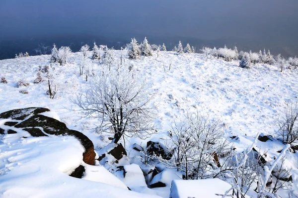 Paesaggio invernale — Foto Stock