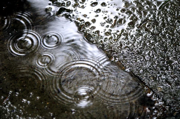 雨の日 — ストック写真