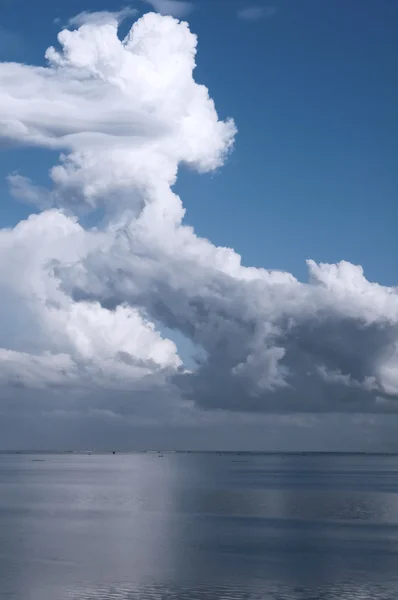 Een grote witte wolk — Stockfoto