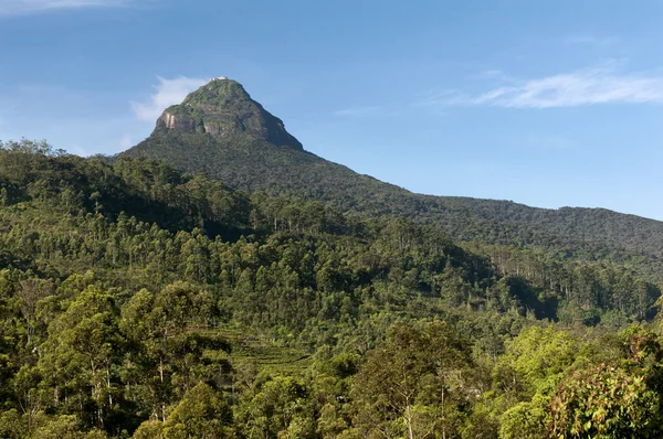 Adam 's Peak (Sri Pada). Шри-Ланка — стоковое фото