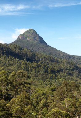 Adam's Peak. Sri Lanka