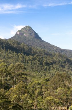 dağ adam's peak, sri para
