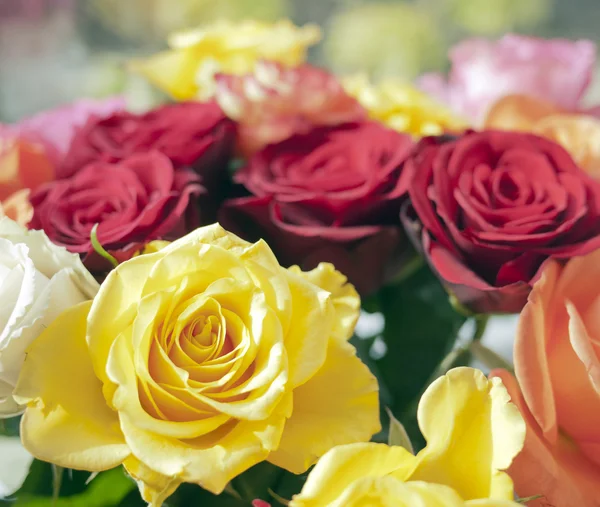 Buquê de rosas — Fotografia de Stock