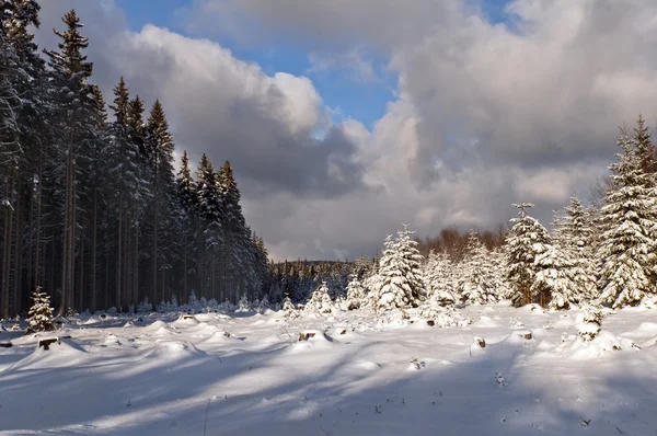 Paesaggio invernale — Foto Stock