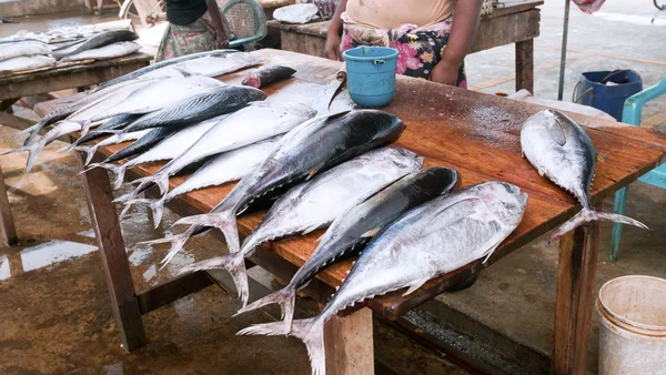 Fish market — Stock Photo, Image