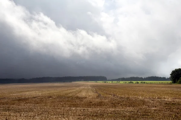 Paesaggio d'autunno — Foto Stock