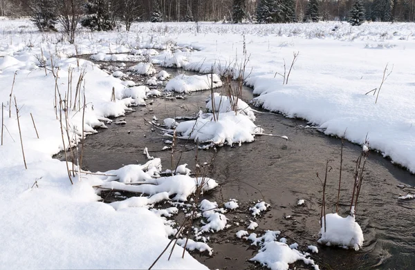 Paisaje invierno —  Fotos de Stock