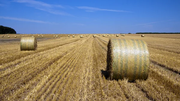 Strohballen — Stockfoto