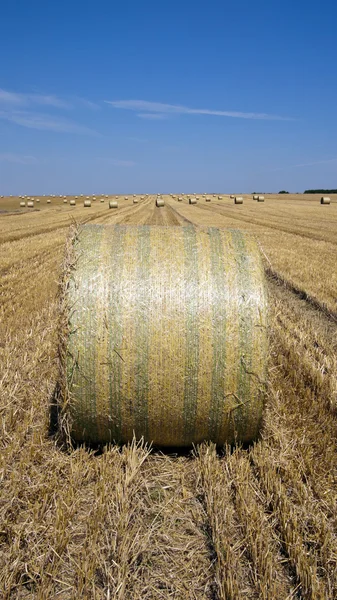 Strohballen — Stockfoto