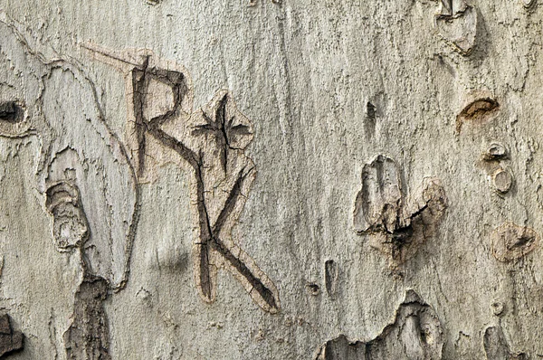 Cartas gravadas em um tronco de árvore — Fotografia de Stock