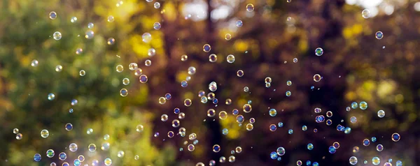 Bolle di sapone galleggianti nell'aria — Foto Stock