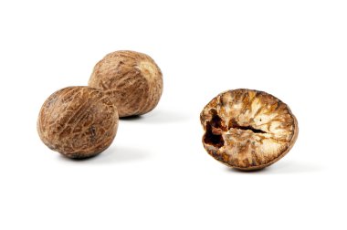 Küçük Hindistan cevizi