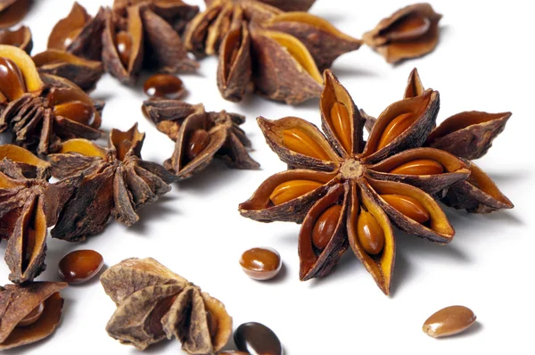 Star anise — Stock Photo, Image